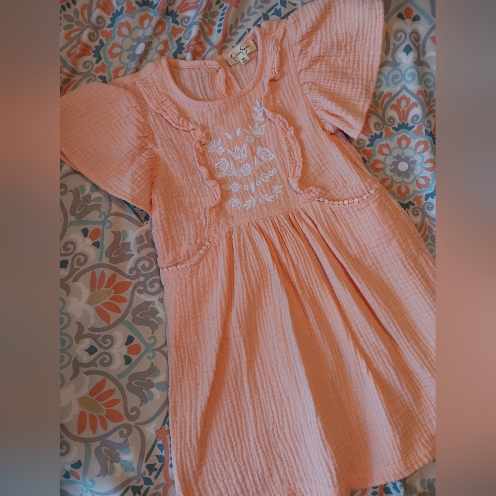 Peach Embroidered Dress